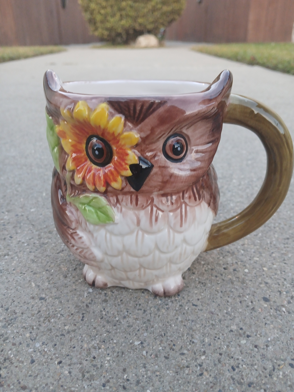 Adorable Fall Owl Coffee Mug with Sunflower Detail – Boutique/Pier 1 Style